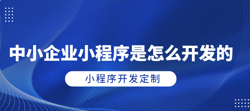 指尖上的商機！武榮CMS企業(yè)小程序開發(fā)，讓您的業(yè)務騰飛！