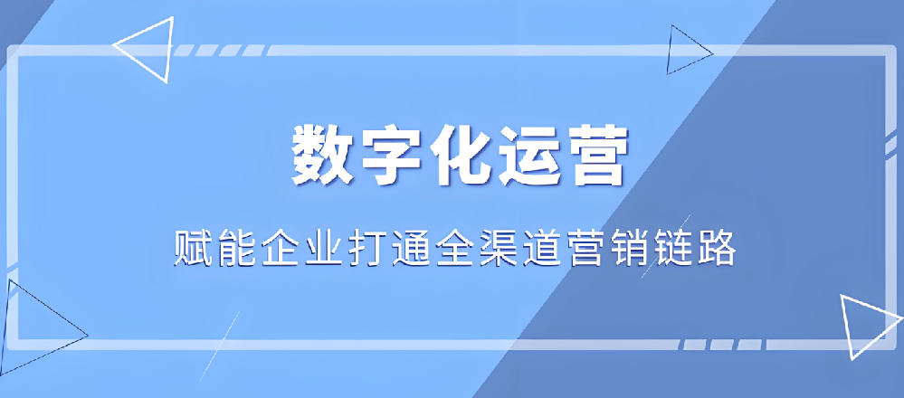 武榮網(wǎng)絡(luò)：塑造企業(yè)數(shù)字形象，提升網(wǎng)絡(luò)營銷效益